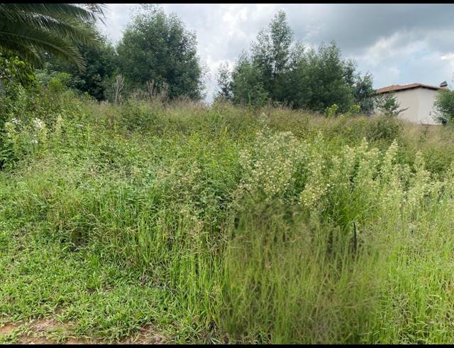 991M² VACANT LAND FOR SALE IN OHENIMURI